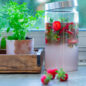 boissons fermentées